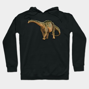 Haplocanthosaurus dinosuar Hoodie